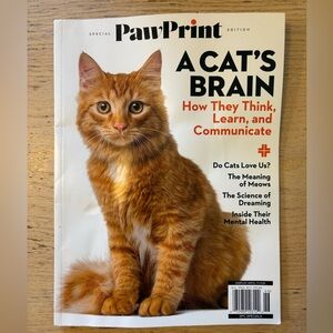 $3 🐈 Paw Print [Special Edition]: A Cat's Brain